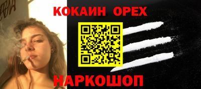 индика Усть-Джегута