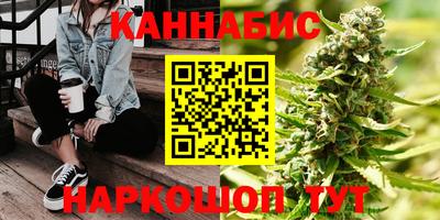 индика Усть-Джегута