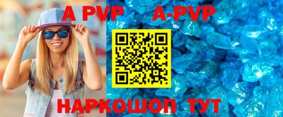 индика Усть-Джегута