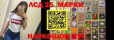 индика Усть-Джегута