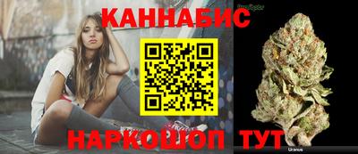 индика Усть-Джегута