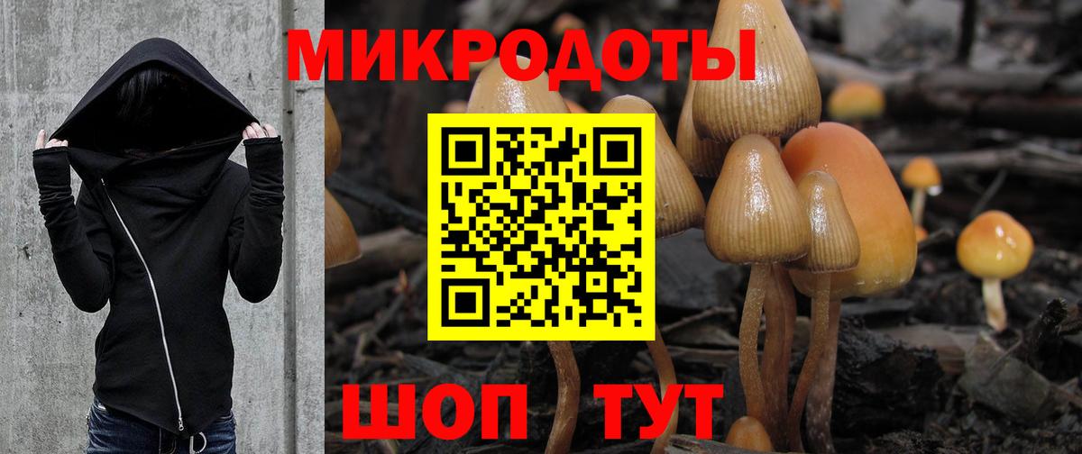 Галлюциногенные грибы прущие грибы  Вход с VPN  Санкт-Петербург 